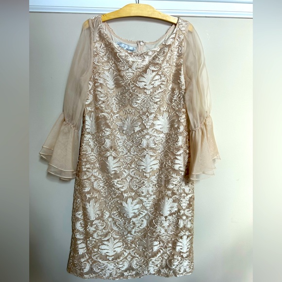 Sara Campbell Dresses & Skirts - Gorgeous textured dress by Sara Campbell in size 10. Flounce sheer sleeves. NWT